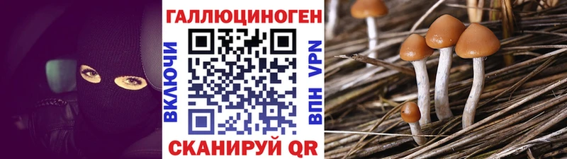 Псилоцибиновые грибы Magic Shrooms  Нея 